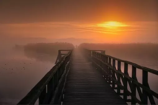 chemin de vie 510px chemin de vie 510px